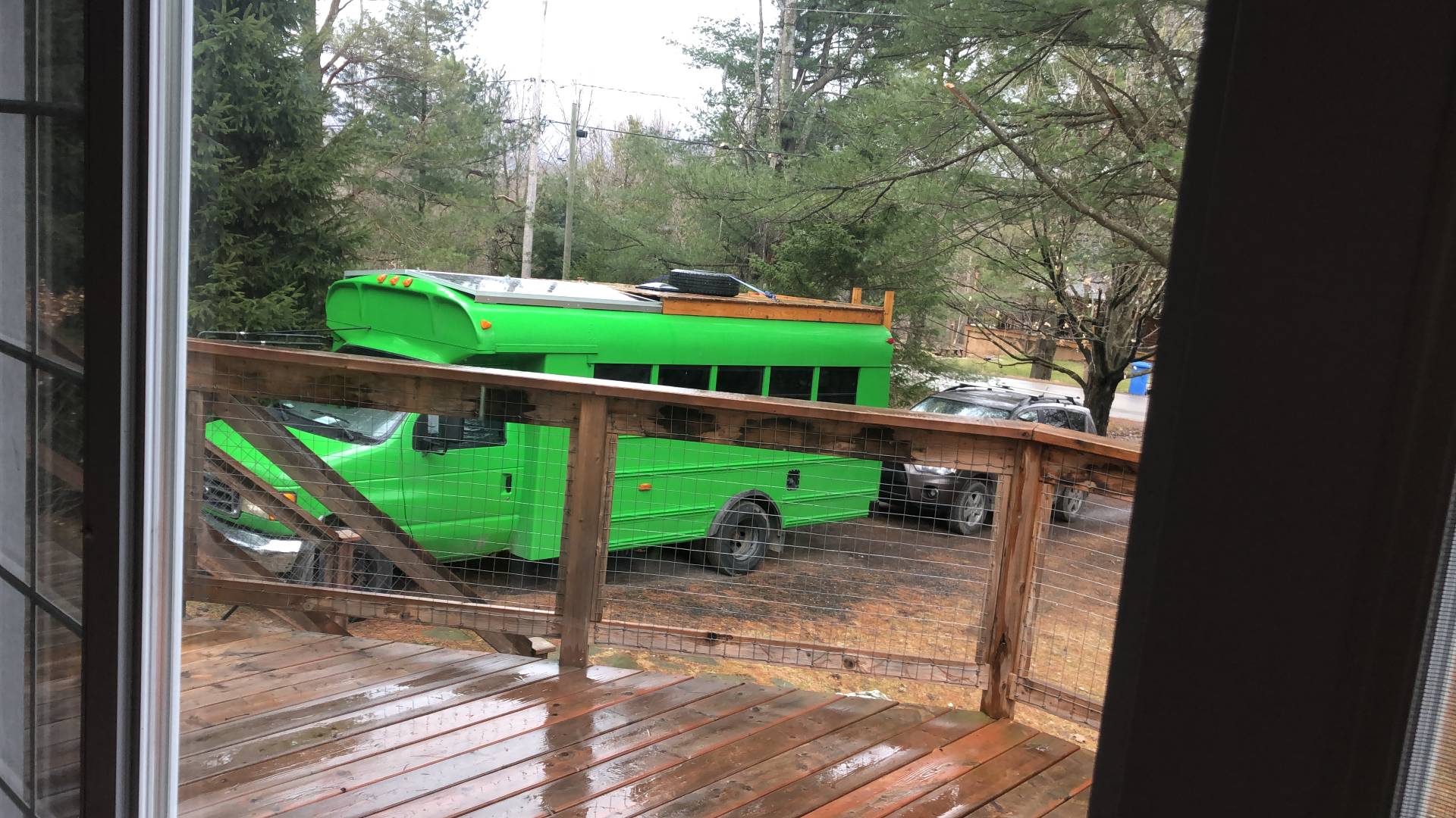Bussel Sprout