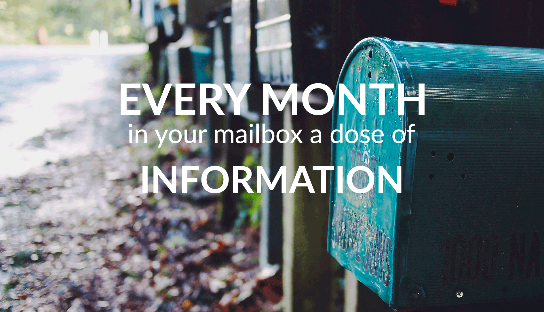 GIF-NEWSLETTER-EN GIF-NEWSLETTER-EN